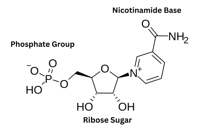 Molecular structure diagram of NMN (Nicotinamide Mononucleotide) showing phosphate group, ribose sugar, and nicotinamide base