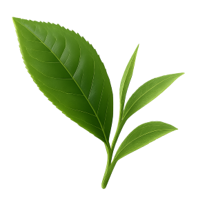 L-Theanine supplement