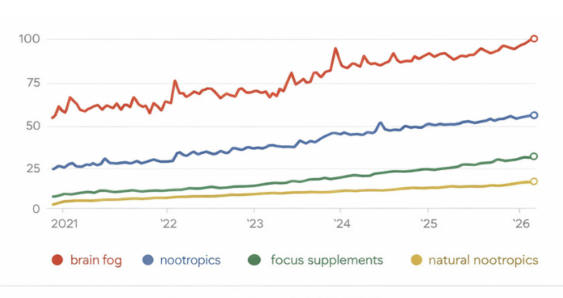 Google Trends growth for brain fog nootropics and focus supplement searches